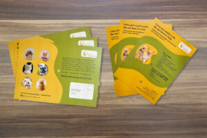 Revamping a Direct Mail Postcard for Greater Impact